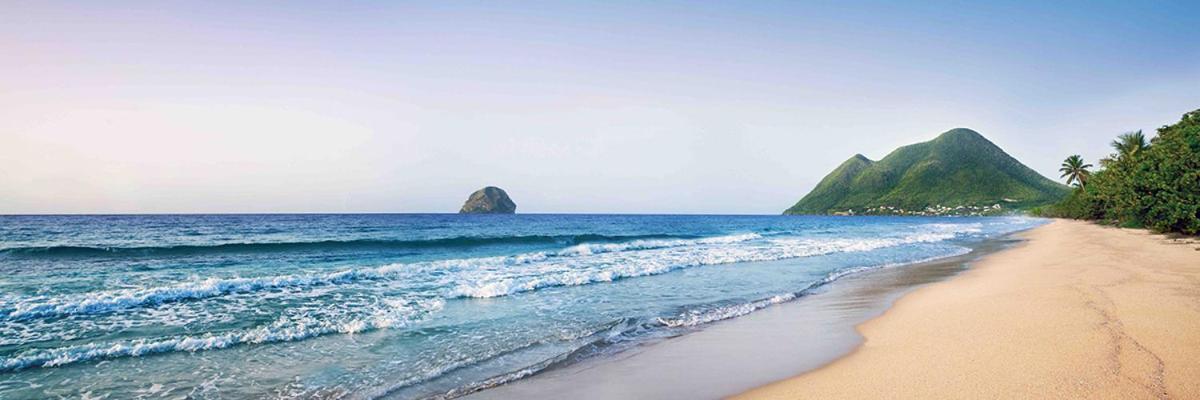 Le Marin - Bungalow Classe 3 Etoiles Tb Equipe & Confortable - Escapade En Couple - Paisible & En Toute Discretion - Wi-Fi - Climatisation - Calme & Serenite - Plages Du Sud, Centre De Carenage & Marina Du Marin Proche En Voiture - Acheminement Sur D Ngoại thất bức ảnh